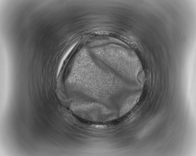 X0000084570649200703161723