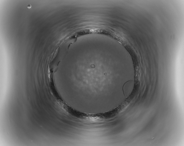 X0000084570650200703161723