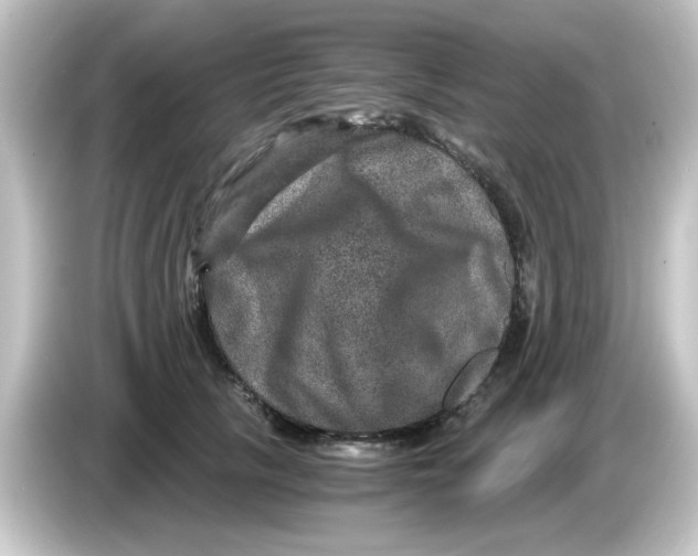 X0000084570657200703161723