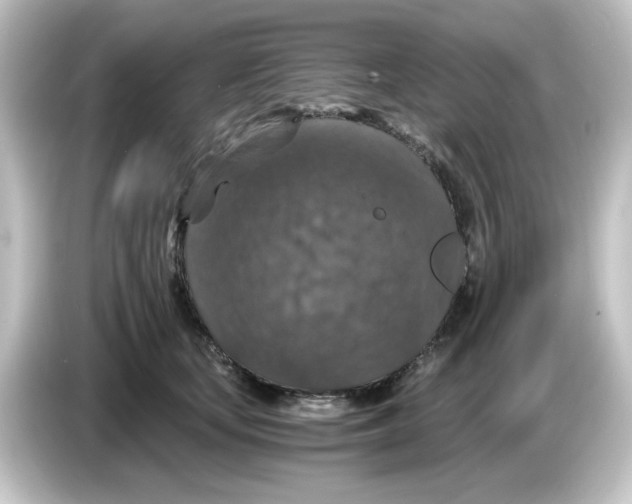 X0000084570659200703161723
