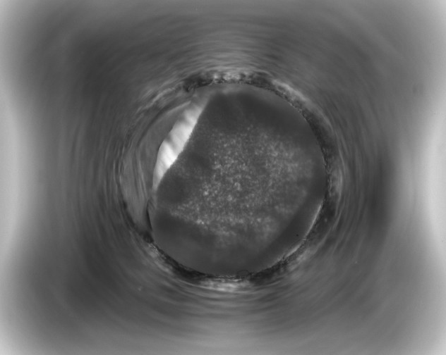 X0000084570661200703161723