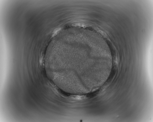 X0000084570663200703161723