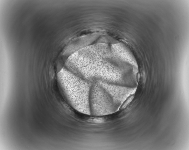 X0000084570665200703161723