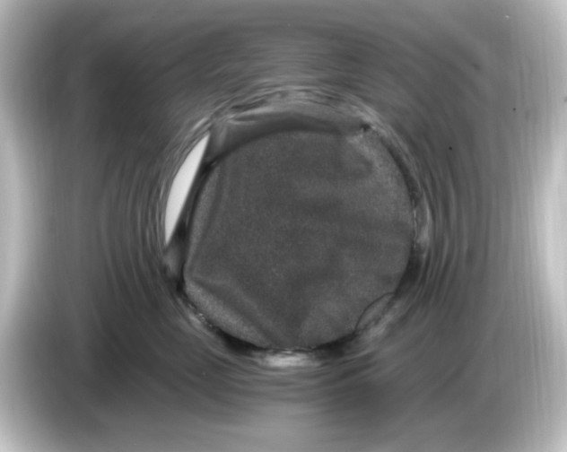 X0000084570669200703161724
