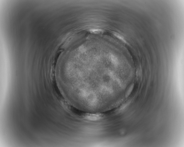 X0000084570671200703161724