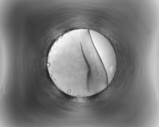 X0000084570672200703161724