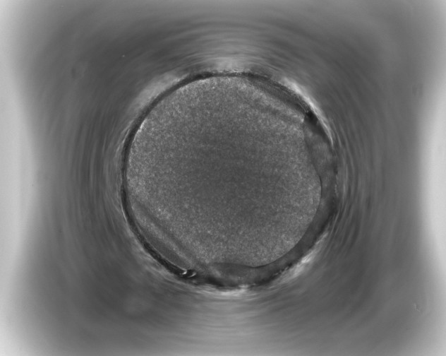 X0000084570673200703161723
