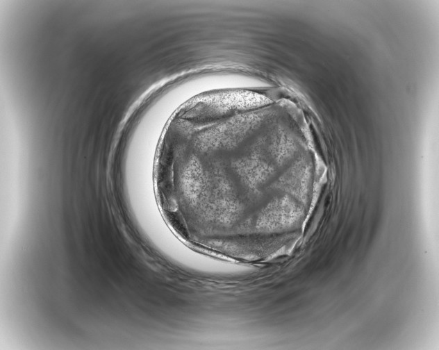 X0000084570676200703161723