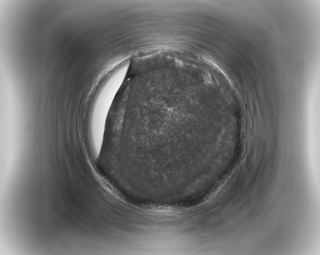 X0000084570677200703161723