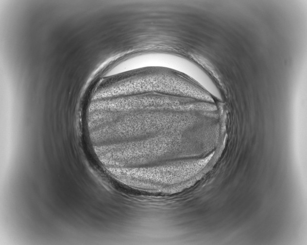 X0000084570680200703161723