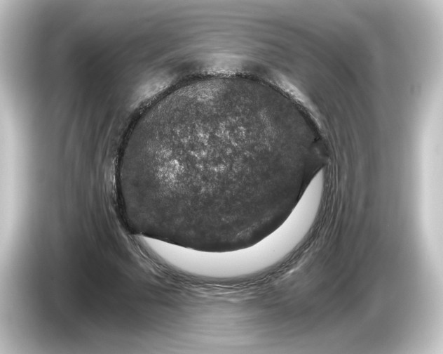 X0000084570681200703161723