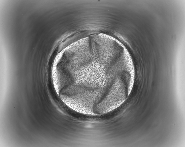 X0000084570682200703161723