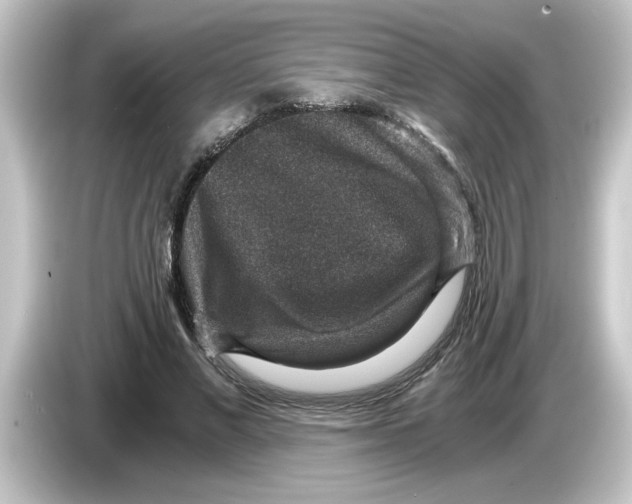 X0000084570685200703161723
