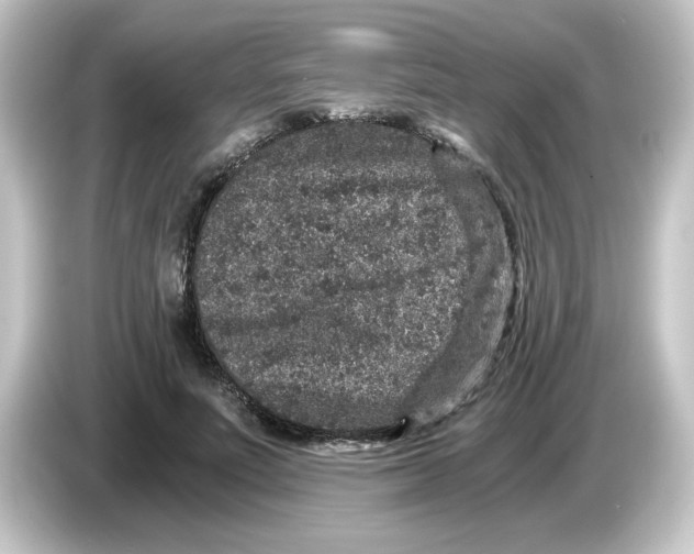 X0000084570691200703161723