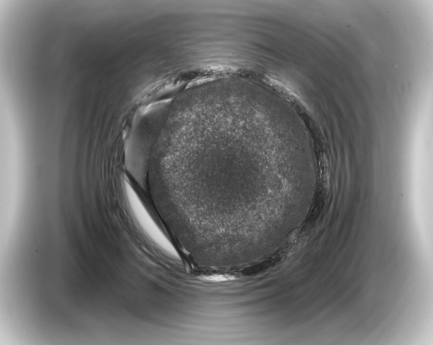 X0000084570692200703161723