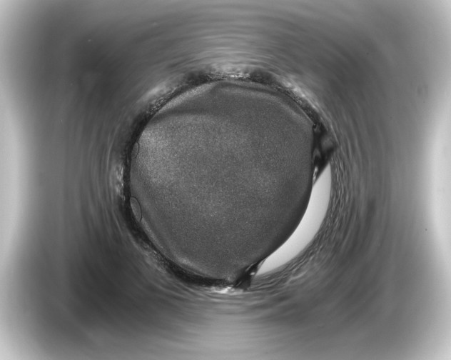 X0000084570693200703161723