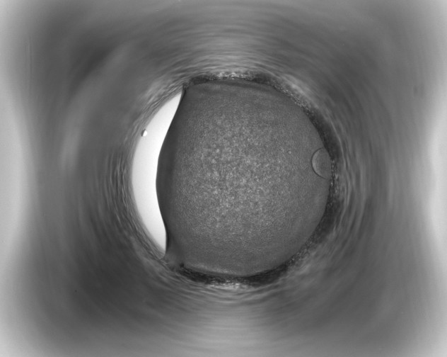 X0000084570695200703161723