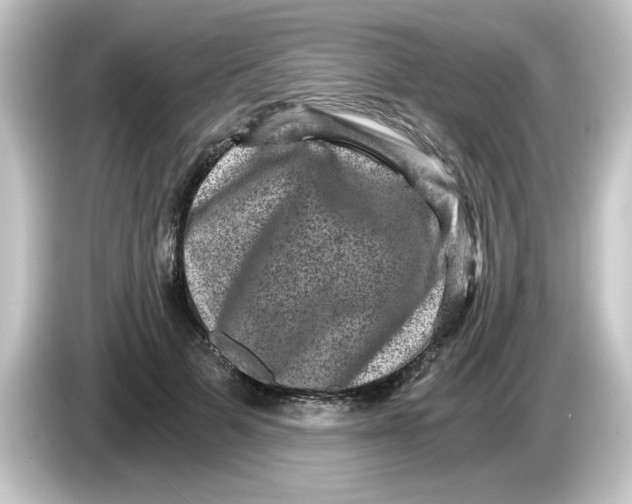 X0000084570697200703161723