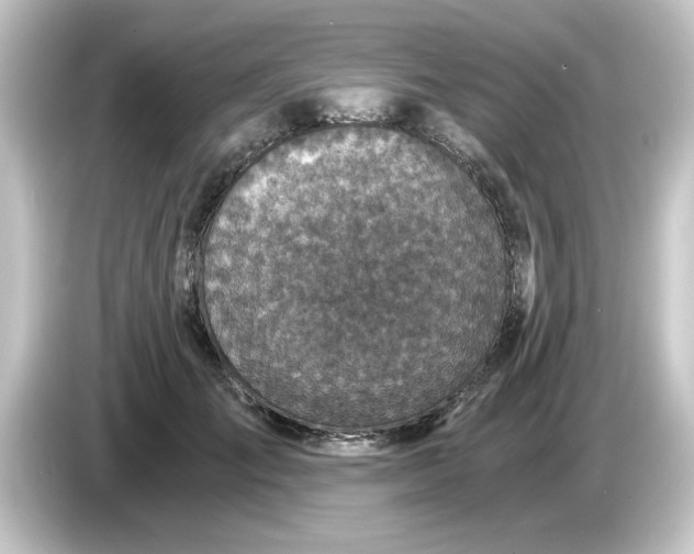 X0000084570701200703161723