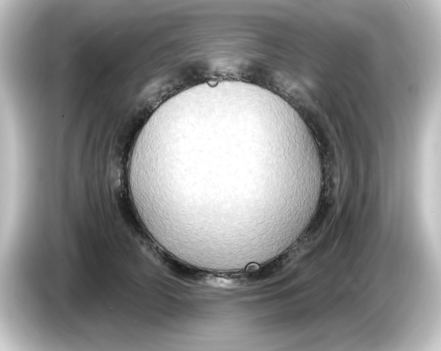 X0000084570706200703161722