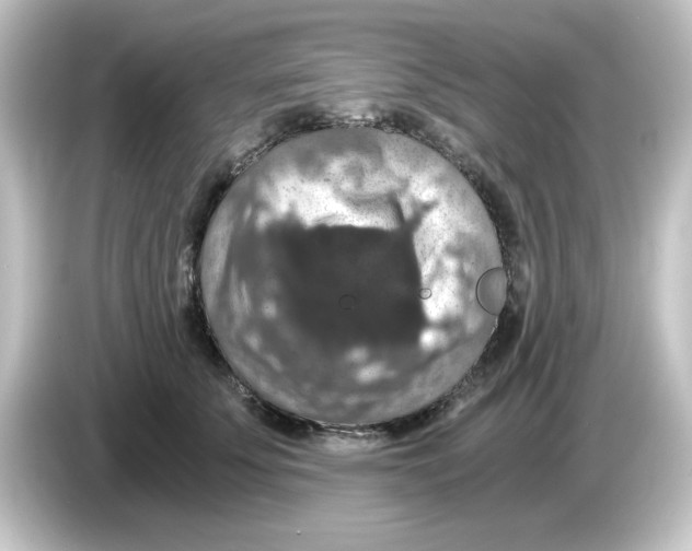 X0000084570707200703161722