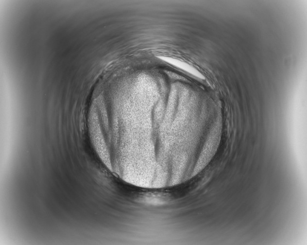 X0000084570708200703161722