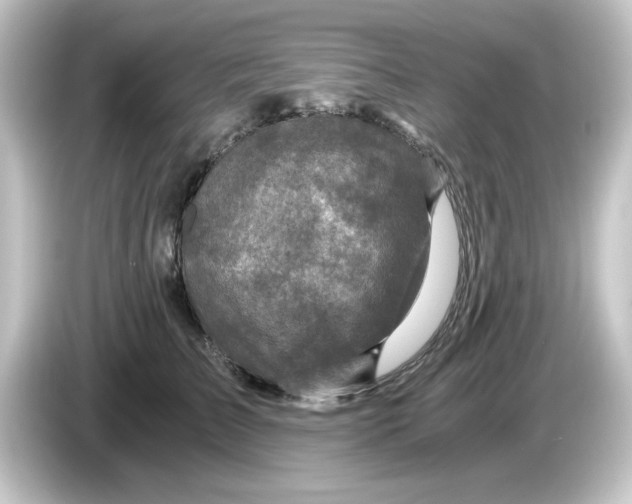 X0000084570709200703161722