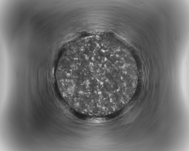 X0000084570711200703161722