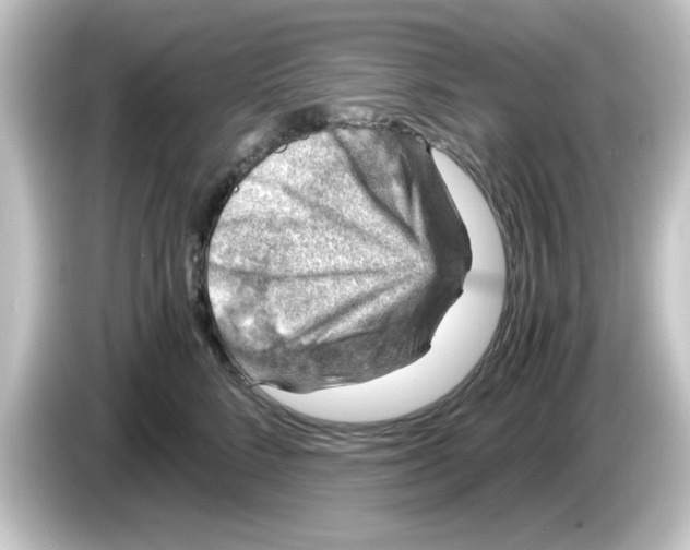 X0000084570712200703161722