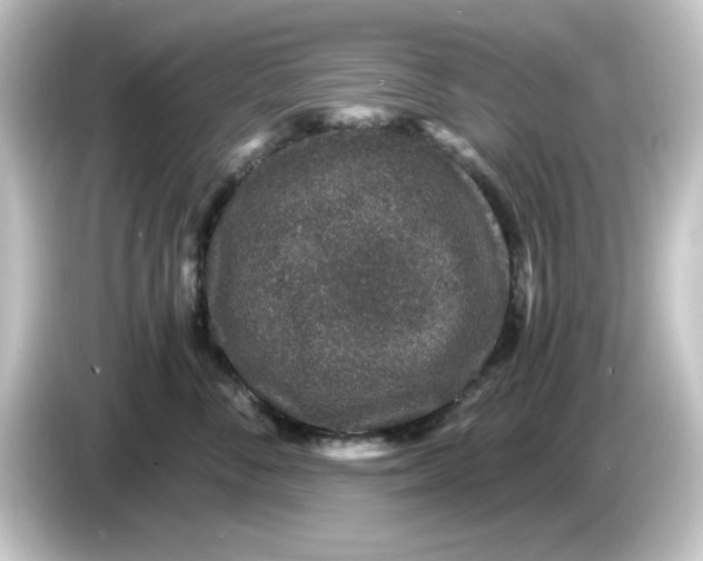 X0000084570716200703161722
