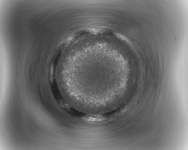 X0000084570720200703161722