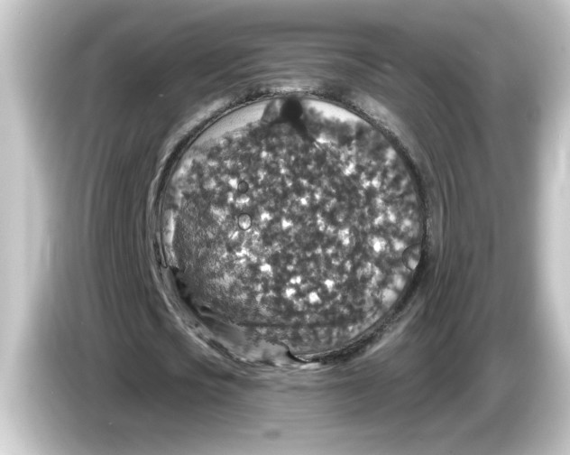 X0000084570721200703161722