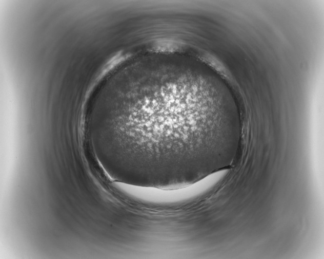 X0000084570722200703161722