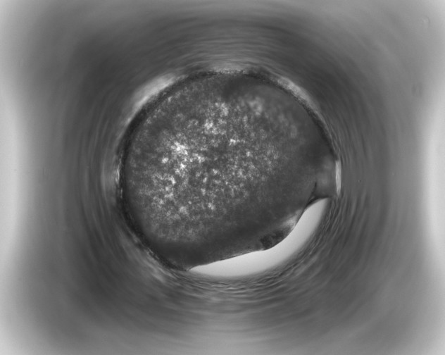 X0000084570723200703161722