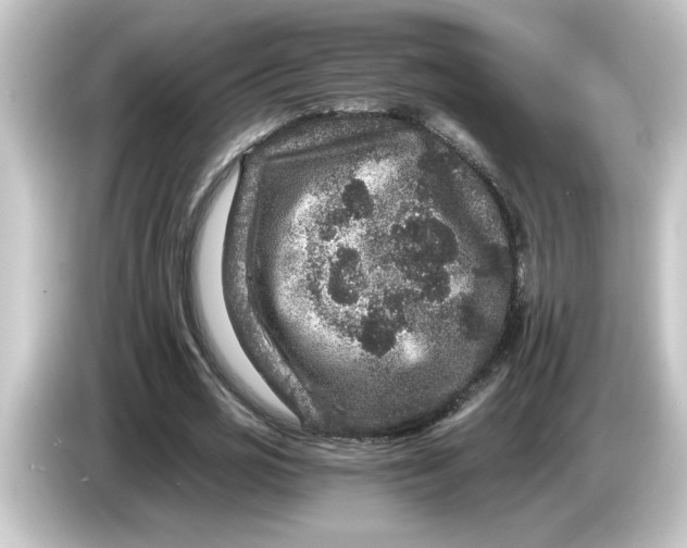 X0000084570725200703161722