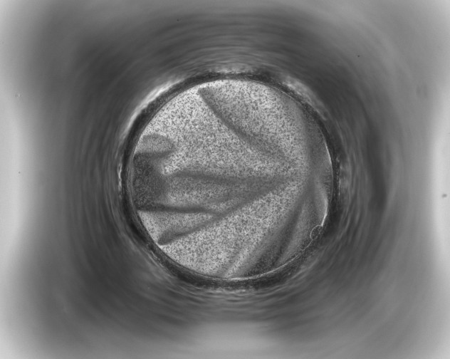 X0000084570727200703161722