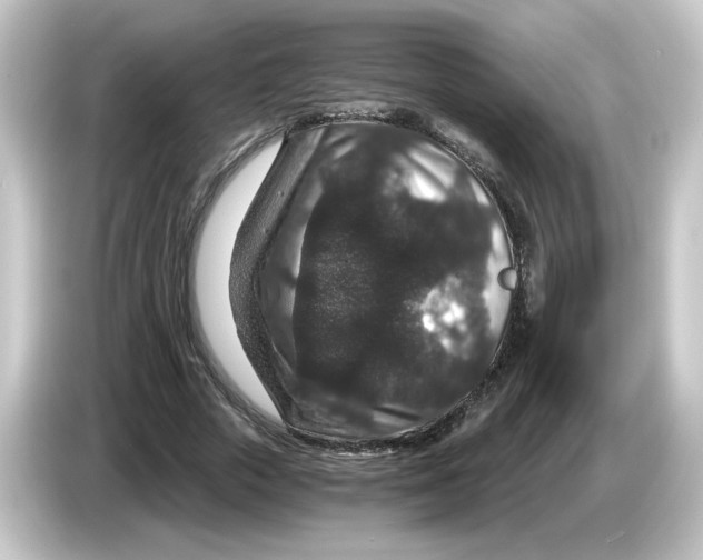 X0000084570729200703161722