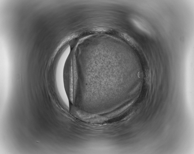 X0000084570731200703161722