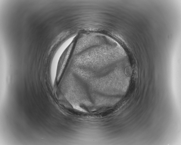 X0000084570738200703161722