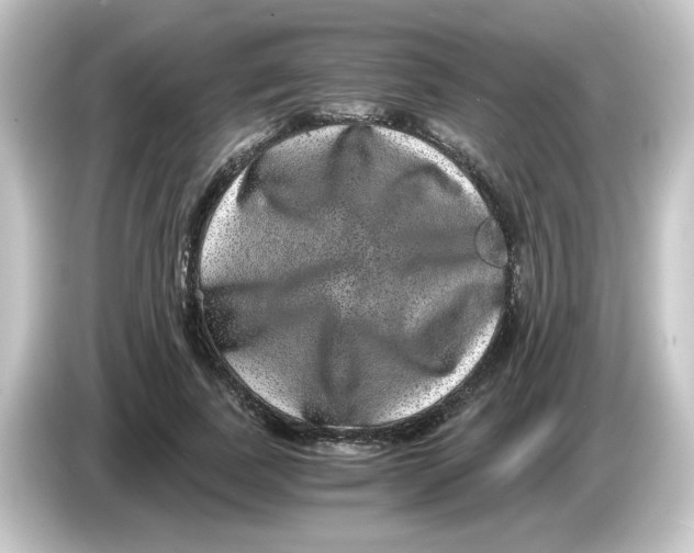 X0000084570739200703161722
