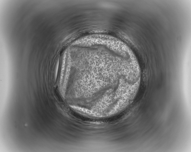 X0000084570741200703161722
