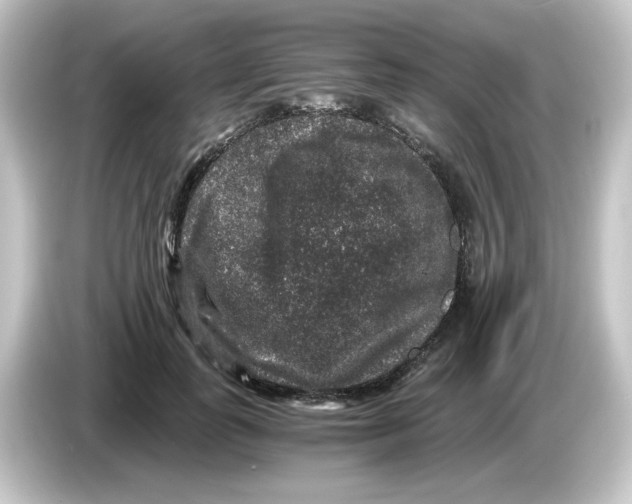 X0000084570747200703161722