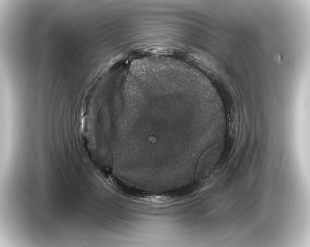 X0000084570748200703161722