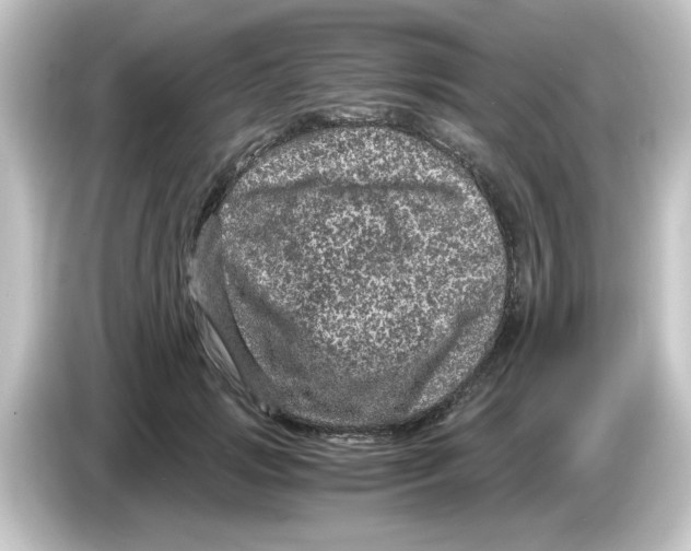 X0000084570749200703161722
