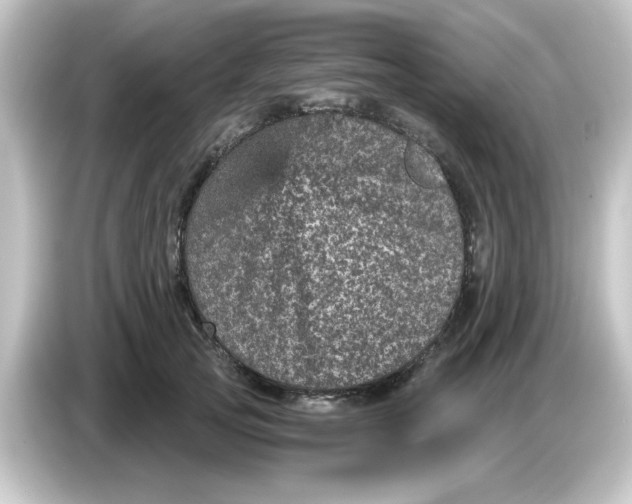 X0000084570753200703161722