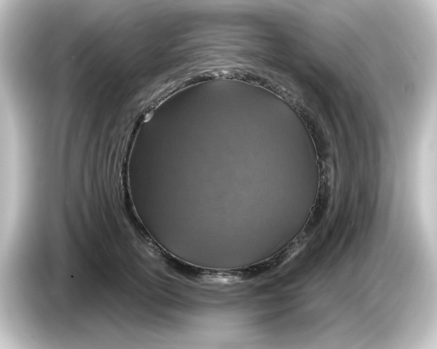 X0000084570754200703161722