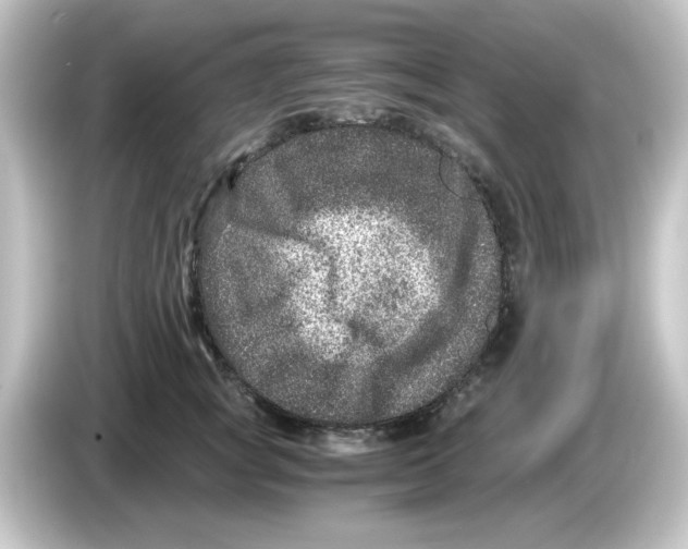 X0000084570757200703161722