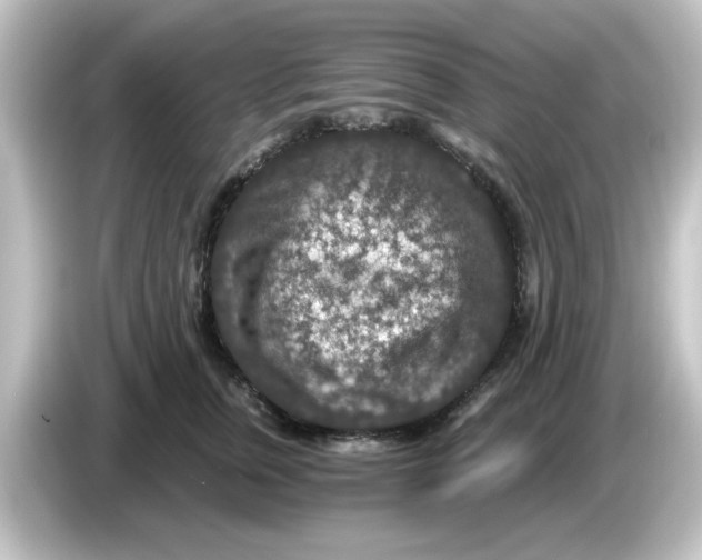 X0000084570759200703161722