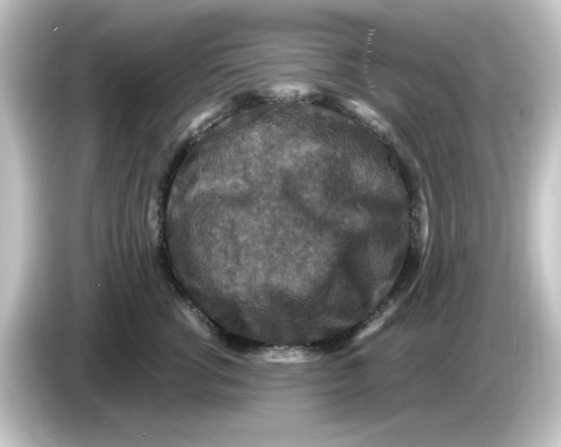 X0000084570762200703161722