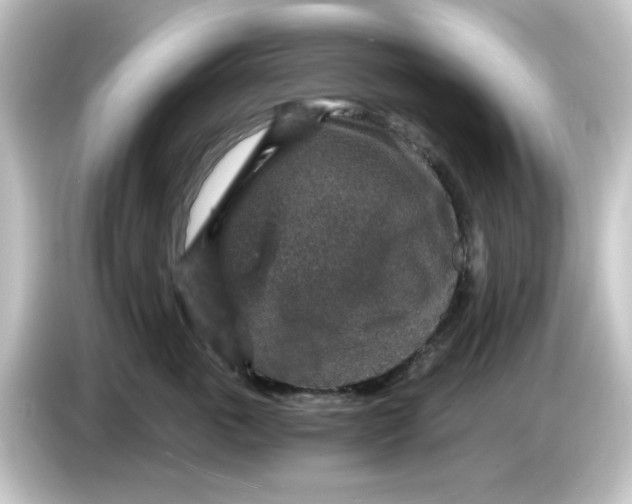 X0000084570763200703161722